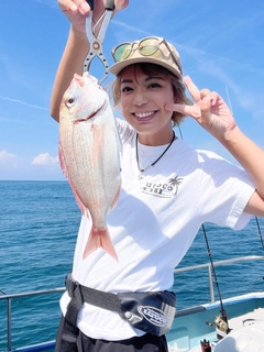 ハナダイの釣果