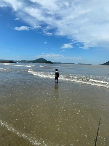 フグの釣果