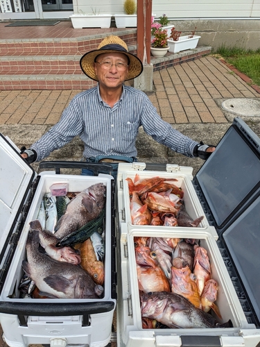 ウスメバルの釣果