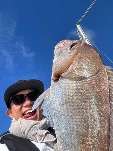 タイの釣果