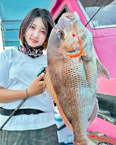 タイの釣果