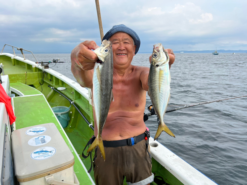 マアジの釣果