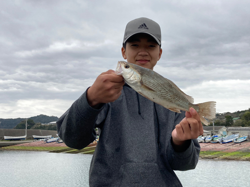 イシモチの釣果