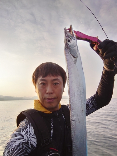 タチウオの釣果