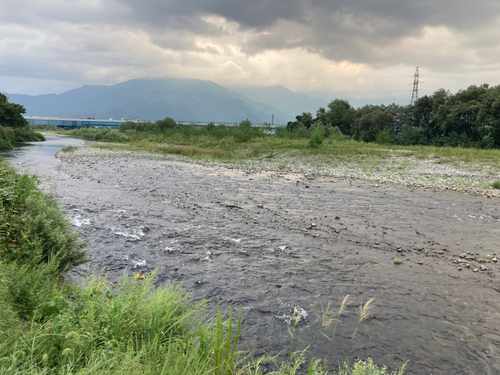 アユの釣果