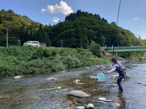 アユの釣果