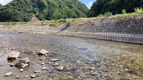 アユの釣果