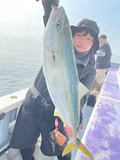 ワラサの釣果