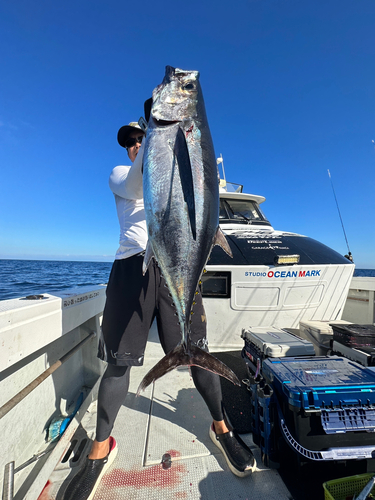 ビンチョウマグロの釣果