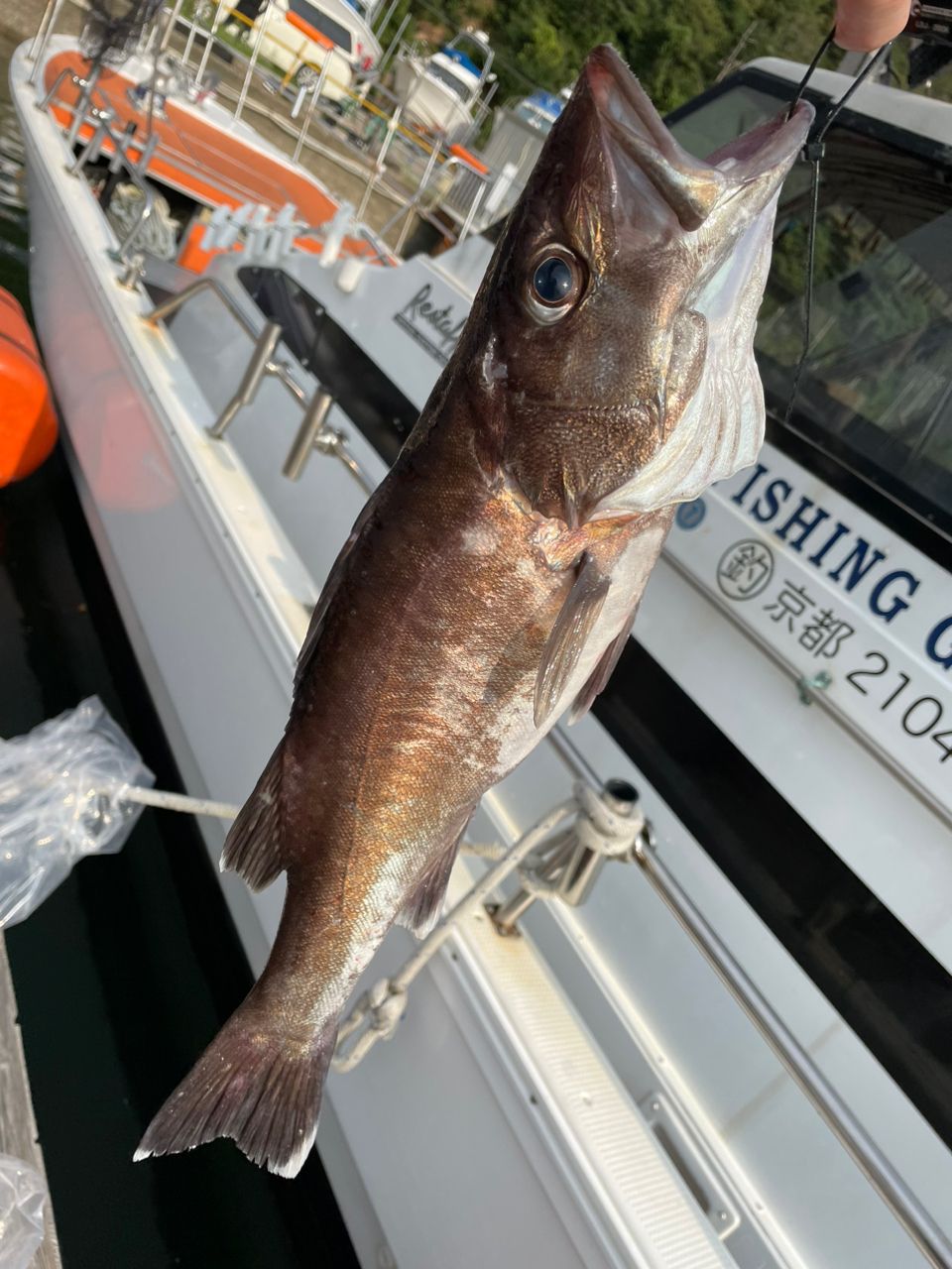 Y.F.Cのしんごさんの釣果 3枚目の画像