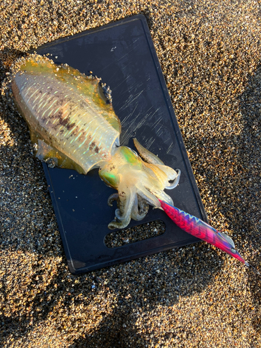 柿崎中央海水浴場