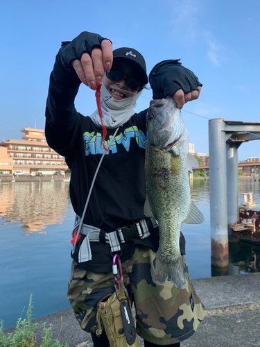 ブラックバスの釣果