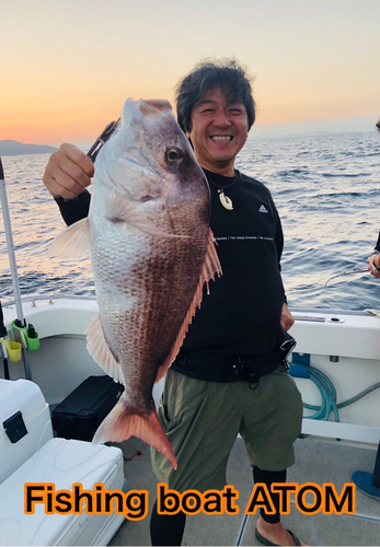 マダイの釣果