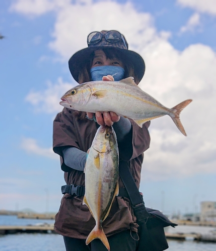 ネリゴの釣果