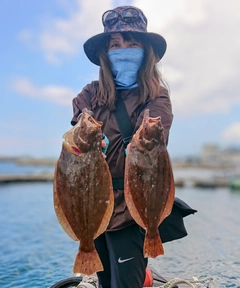 ヒラメの釣果