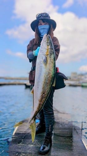 ヒラマサの釣果