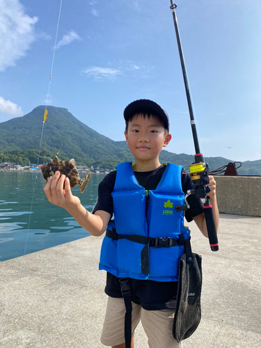 カワハギの釣果