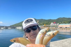 キスの釣果
