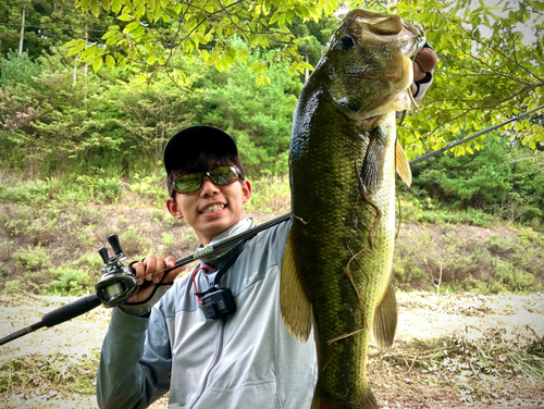 ブラックバスの釣果