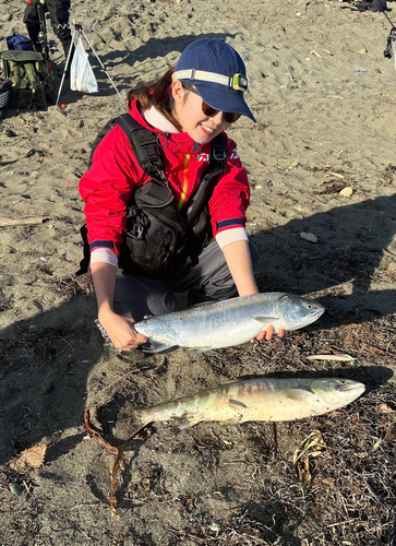 アキアジの釣果