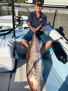 カンパチの釣果