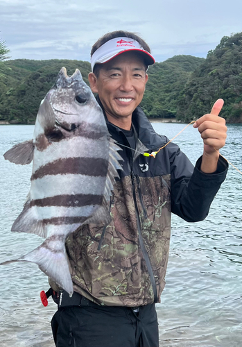 イシダイの釣果