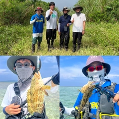 カンモンハタの釣果