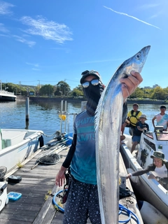 タチウオの釣果