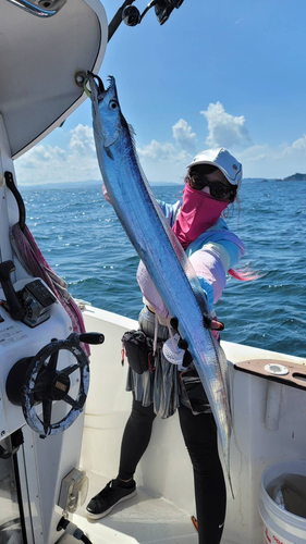 タチウオの釣果