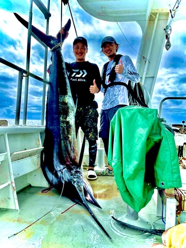 マカジキの釣果