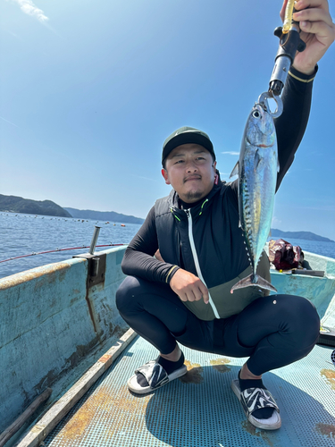 ソウダガツオの釣果