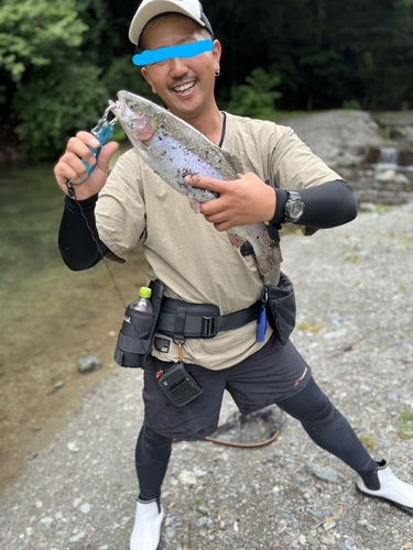 ニジマスの釣果