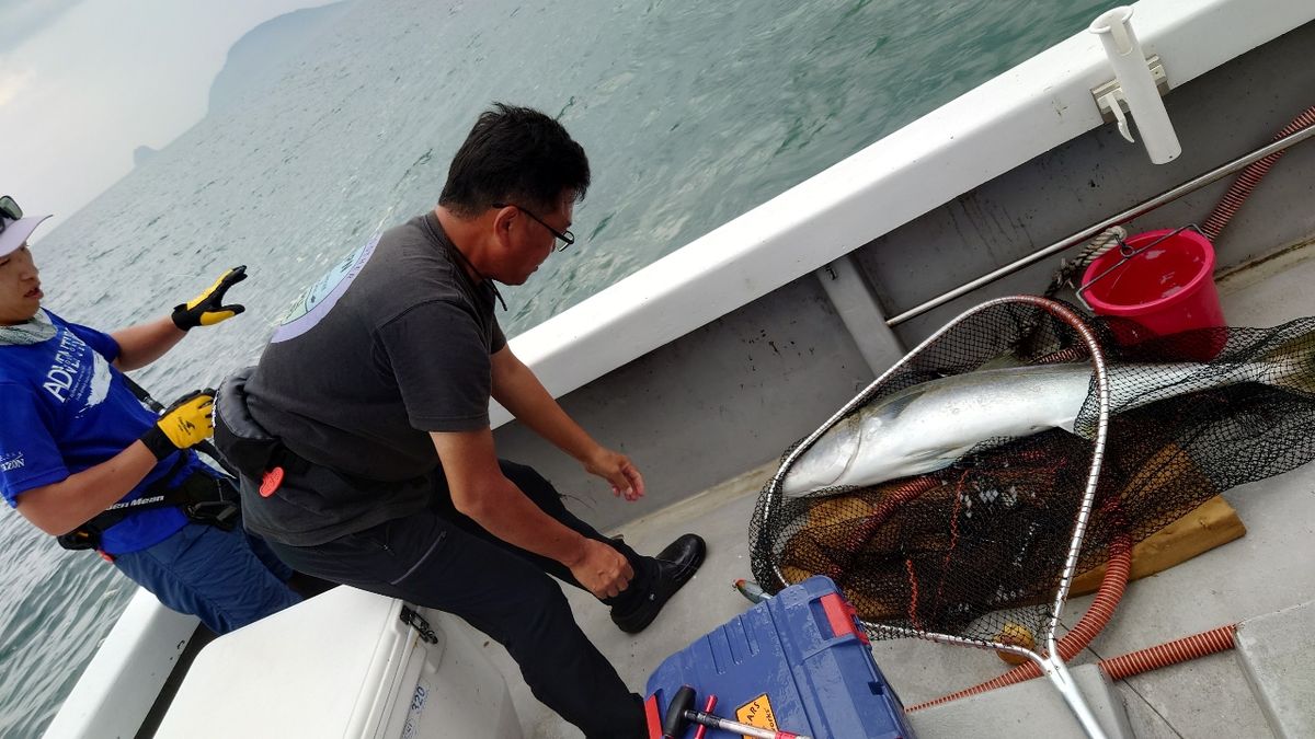 GenkainadaAnglerさんの釣果 2枚目の画像