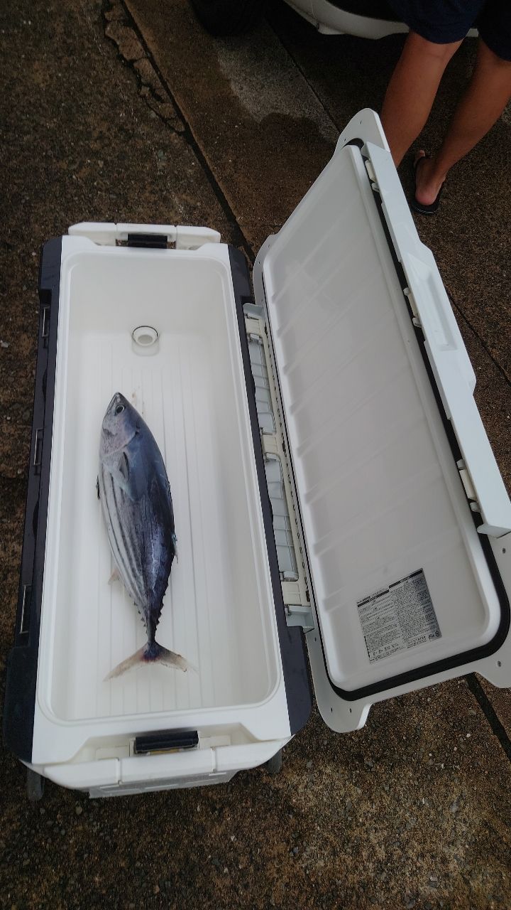 GenkainadaAnglerさんの釣果 2枚目の画像