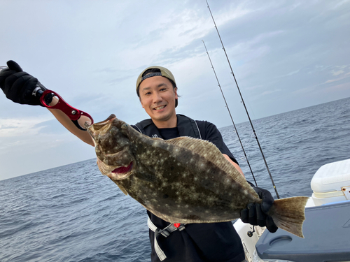 ヒラメの釣果