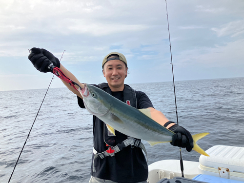 ヤズの釣果