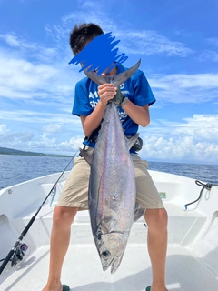 イソマグロの釣果