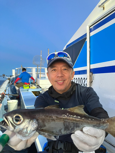 クロムツの釣果