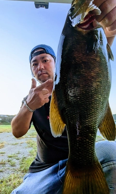 スモールマウスバスの釣果