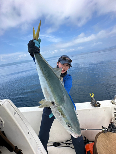 ハマチの釣果