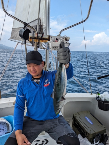 ハガツオの釣果