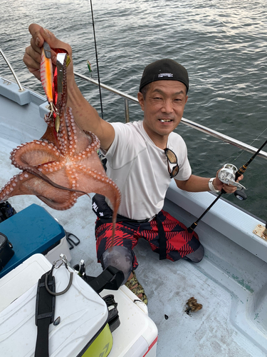 タコの釣果