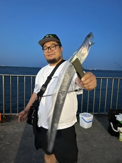 タチウオの釣果