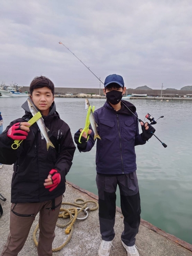 カマスの釣果