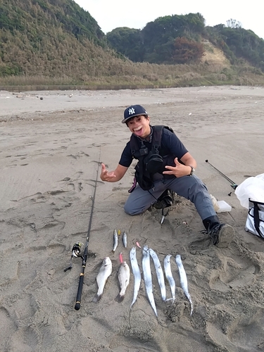 タチウオの釣果