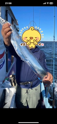 タチウオの釣果