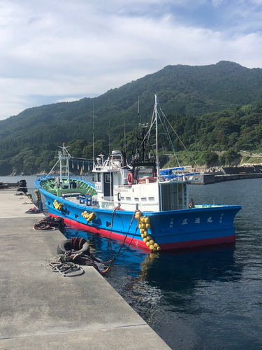 ケンサキイカの釣果