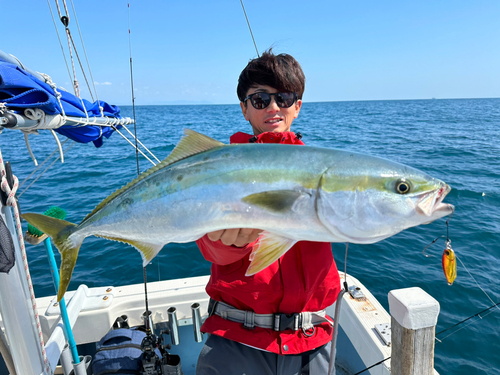 ワラサの釣果