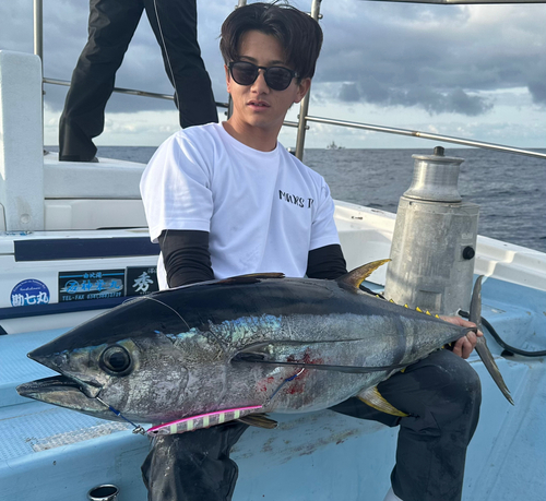 キハダマグロの釣果