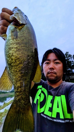 スモールマウスバスの釣果